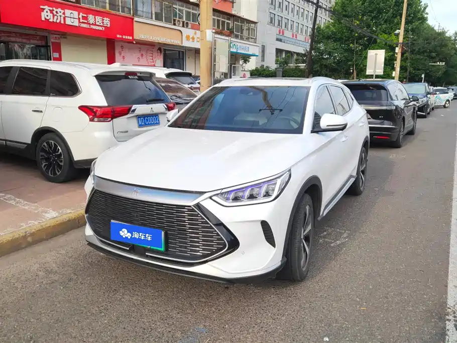 BYD PLUS New Energy 2021