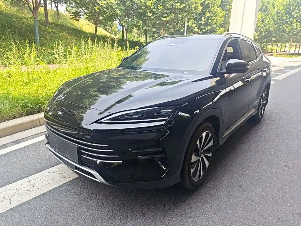 BYD PLUS New Energy 2024