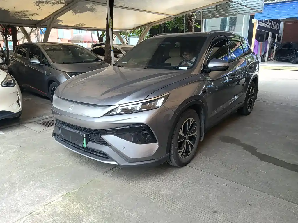 BYD Pro New Energy 2025