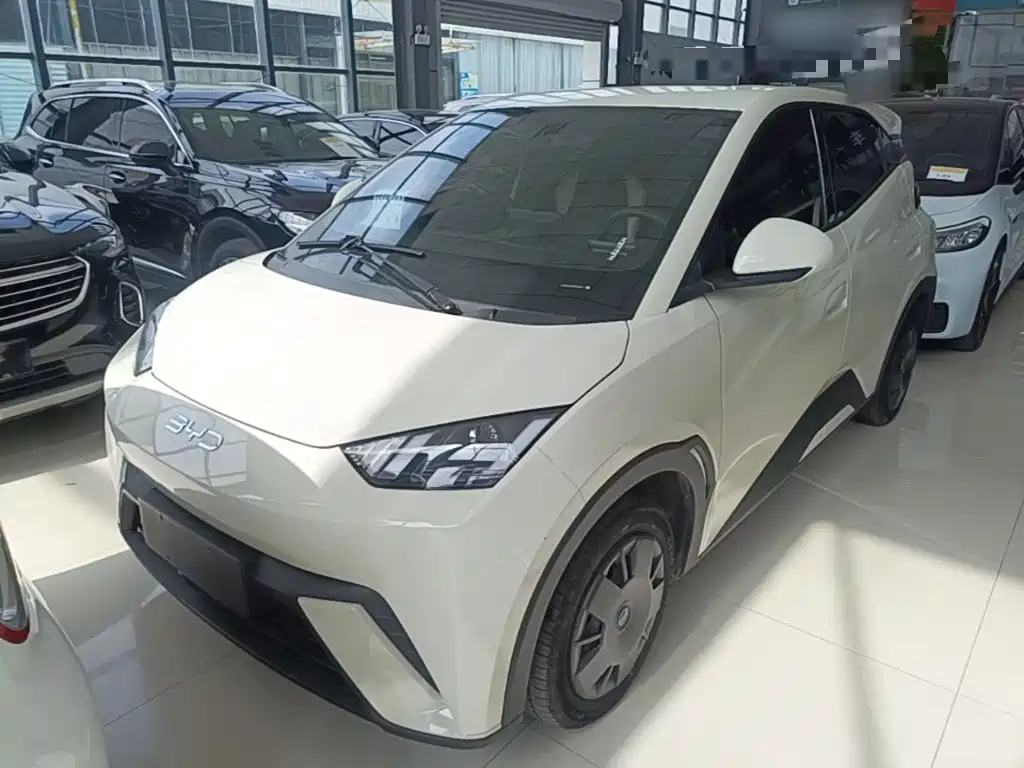 BYD Seagull 2024