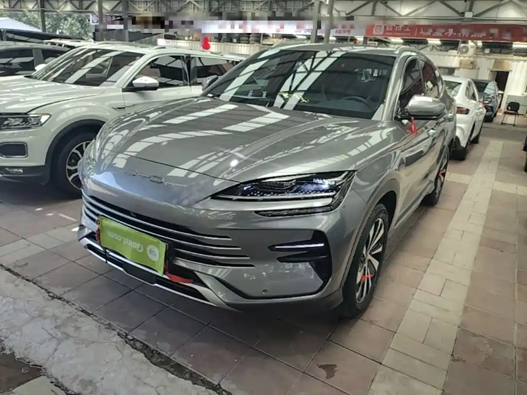 BYD PLUS New Energy 2024