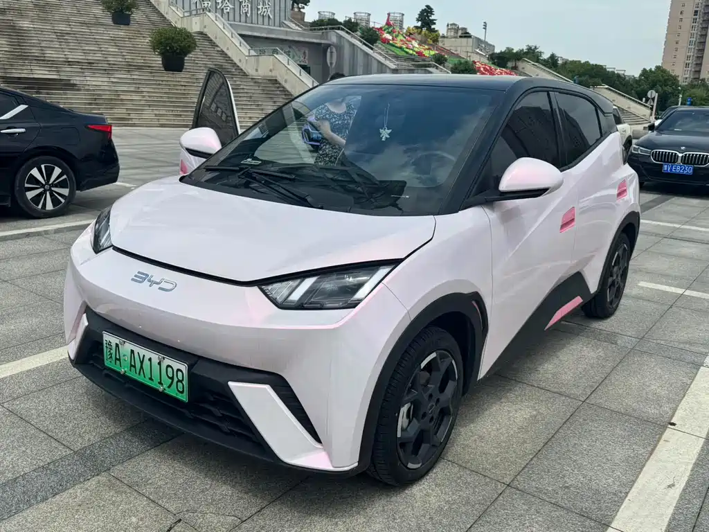 BYD Seagull 2024