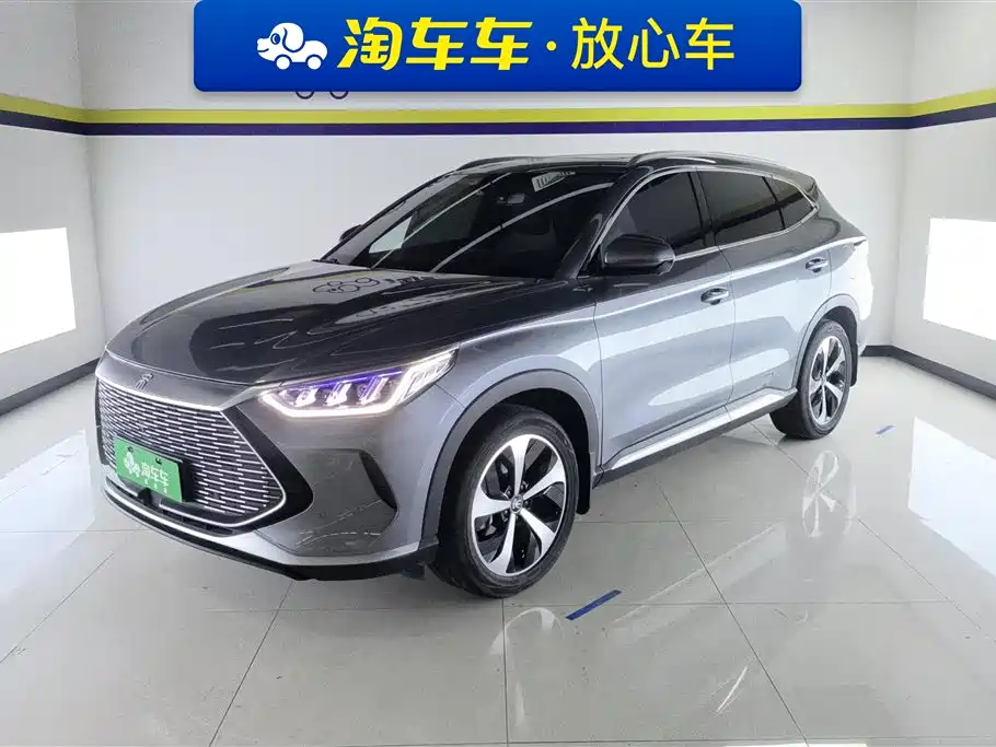 BYD PLUS New Energy 2021
