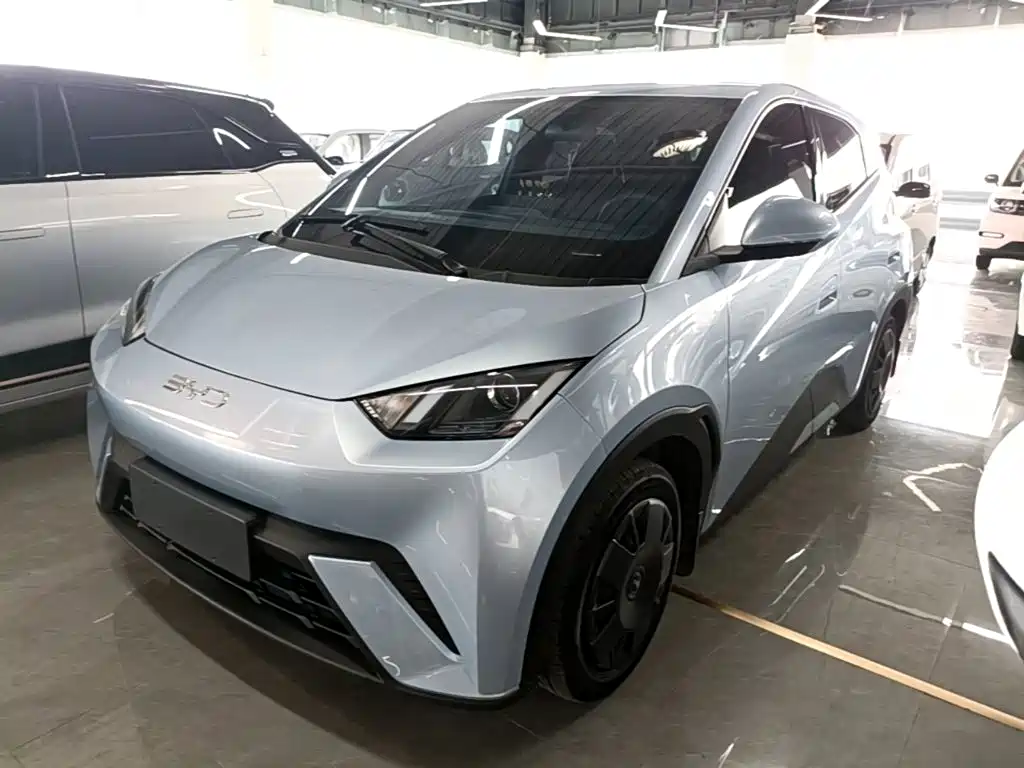 BYD Seagull 2024