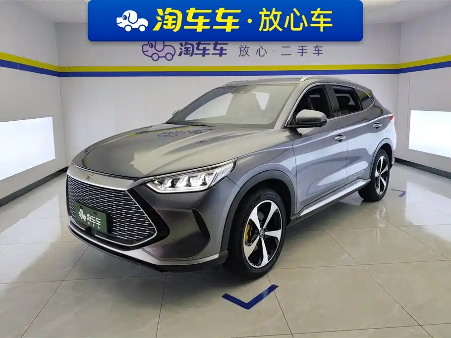 BYD PLUS New Energy 2022