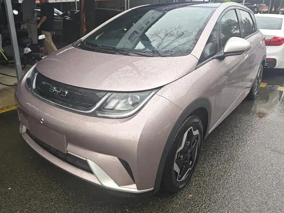 BYD Dolphin 2022