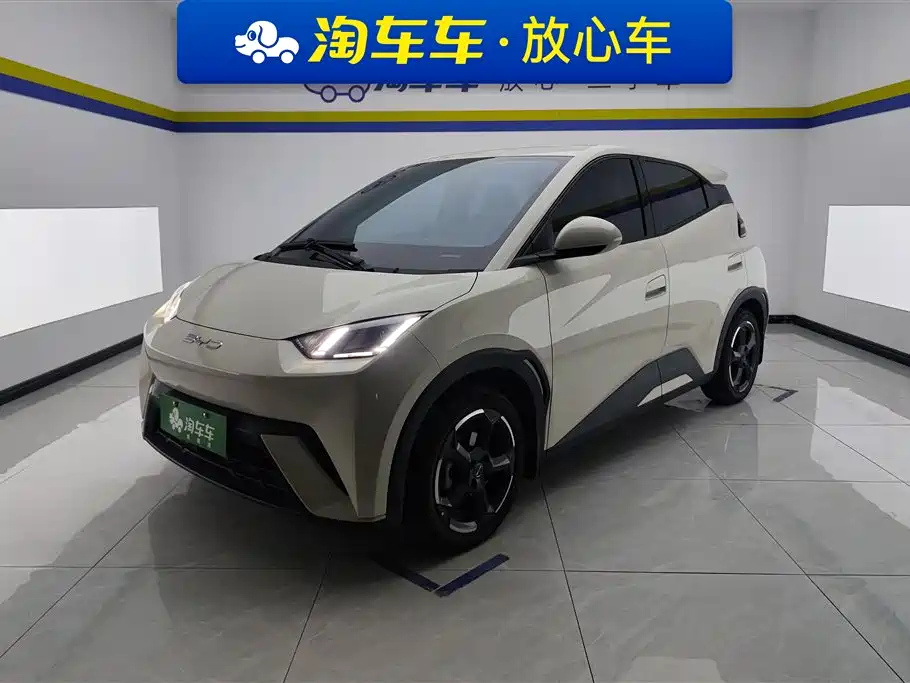 BYD Seagull 2024