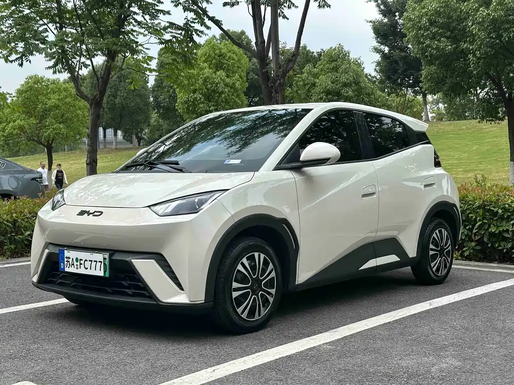 BYD Seagull 2024