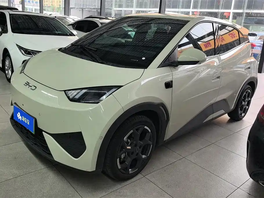 BYD Seagull 2025