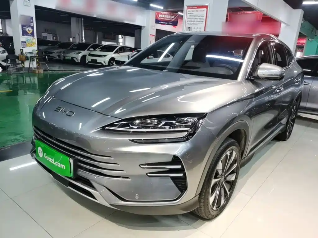 BYD PLUS New Energy 2024