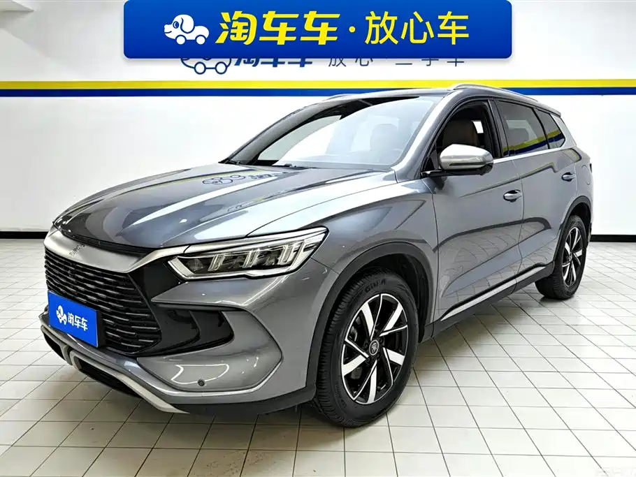 BYD Pro New Energy 2025