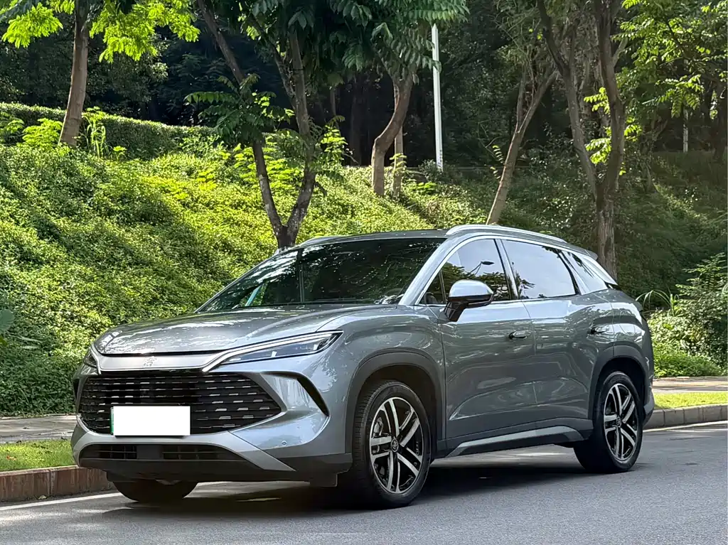 BYD L DM-i 2024