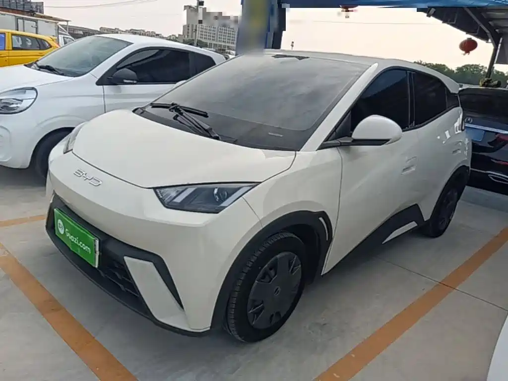 BYD Seagull 2024