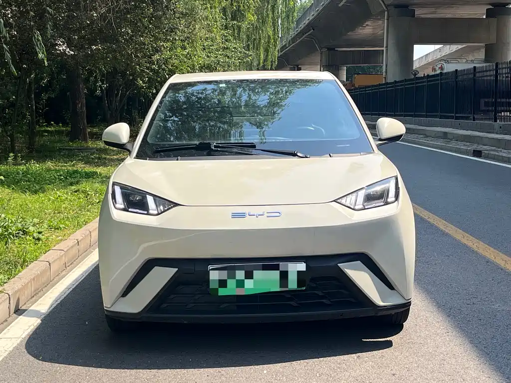 BYD Seagull 2024