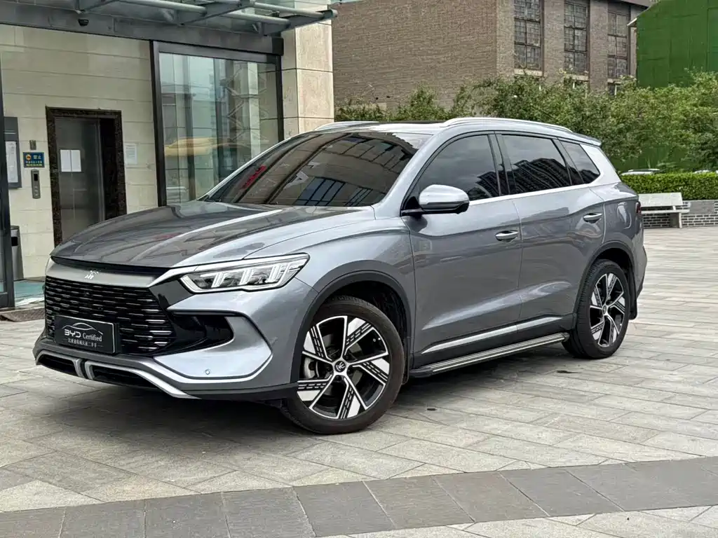 BYD Pro New Energy 2024