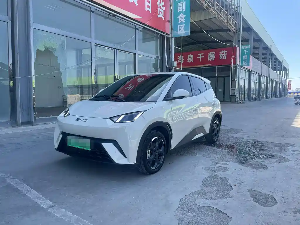 BYD Seagull 2025
