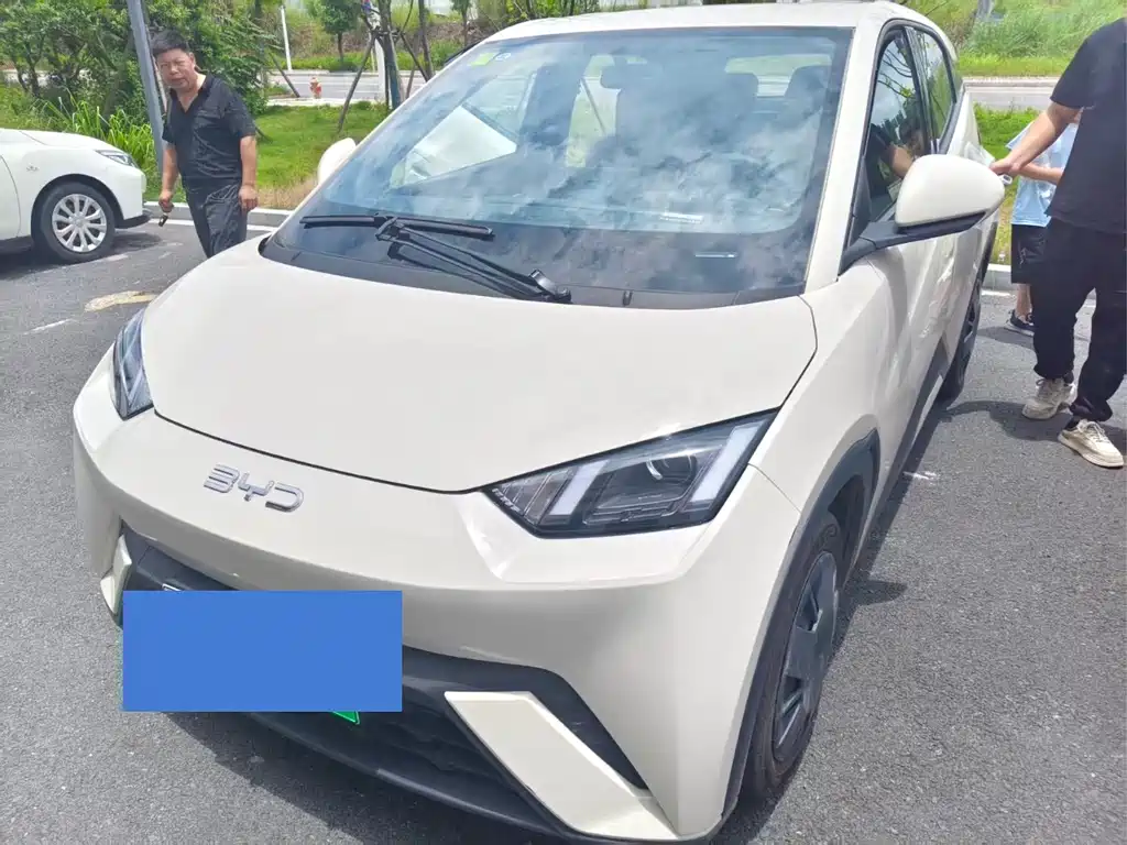 BYD Seagull 2025