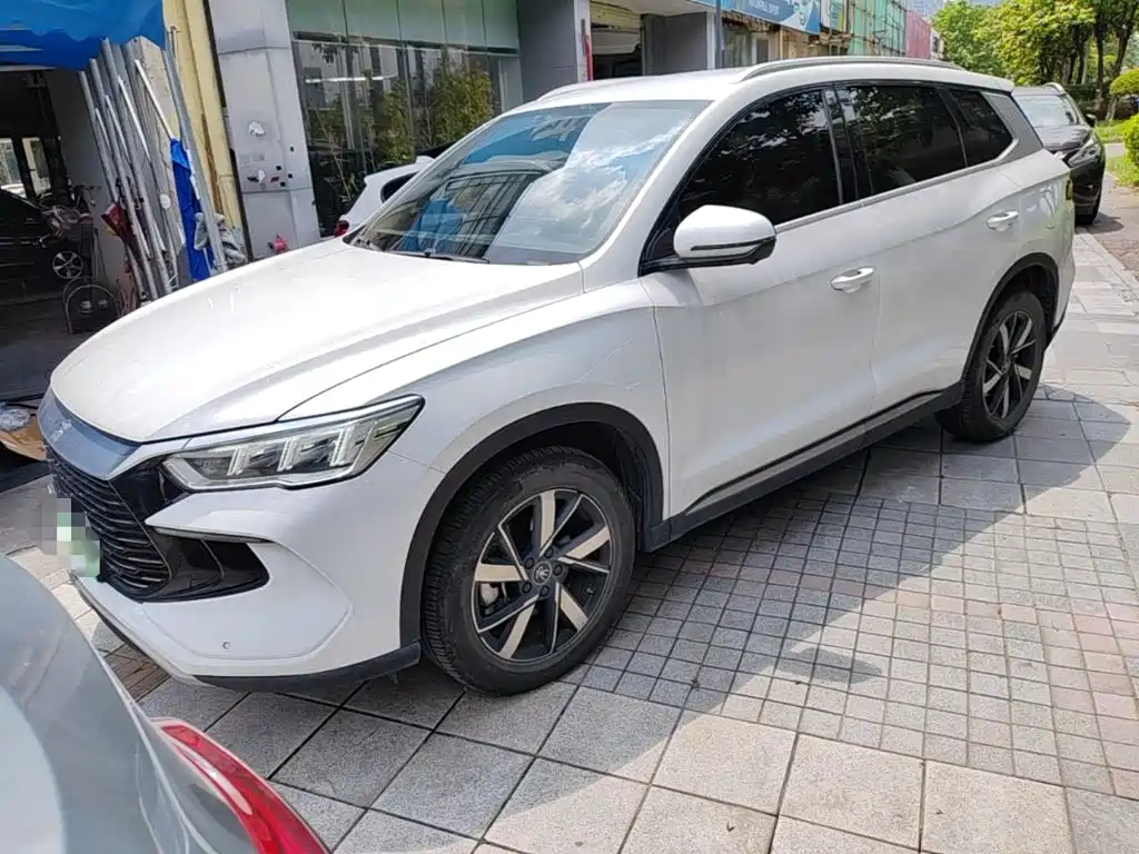 BYD Pro New Energy 2024