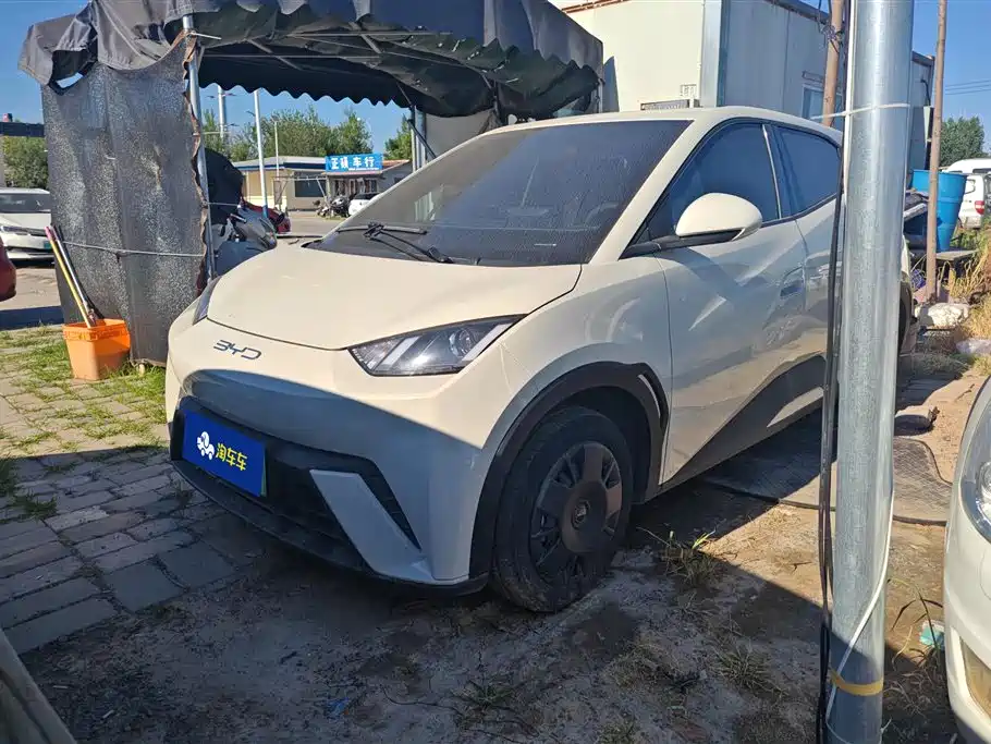 BYD Seagull 2024