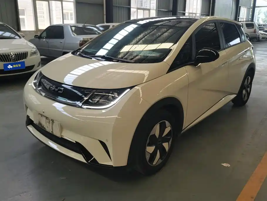 BYD Dolphin 2024