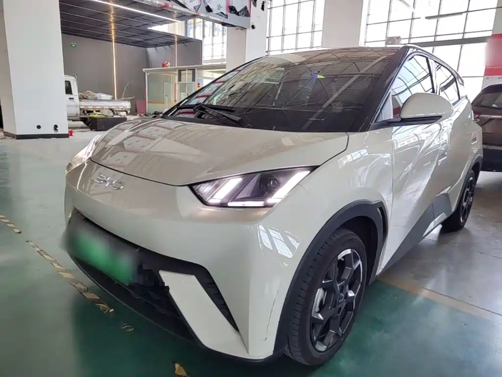 BYD Seagull 2024