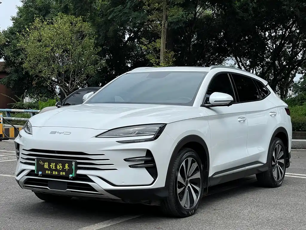 BYD PLUS New Energy 2024