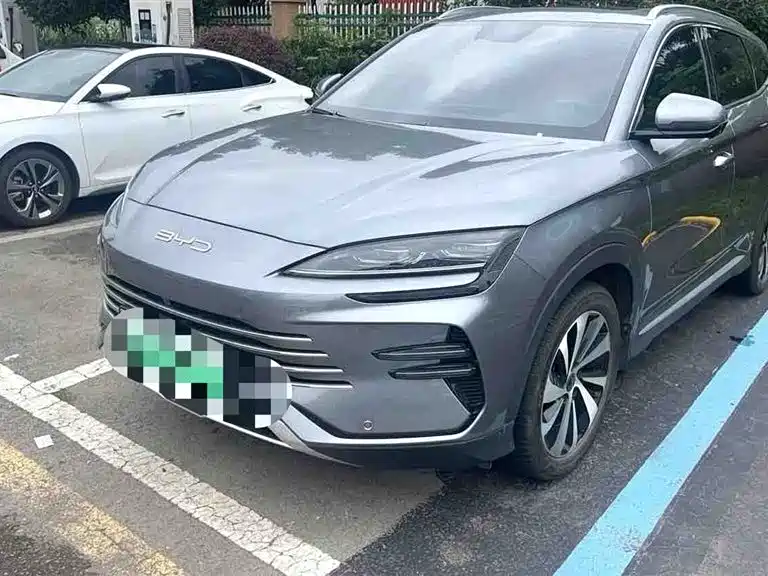 BYD PLUS New Energy 2024