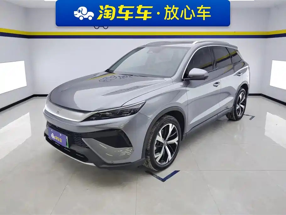 BYD Pro New Energy 2024