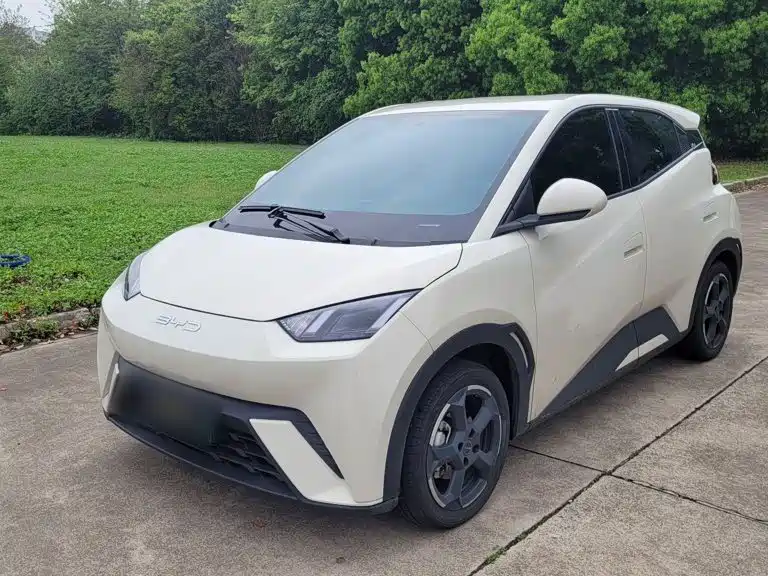 BYD Seagull 2024