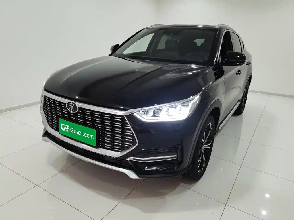 BYD PLUS 2021