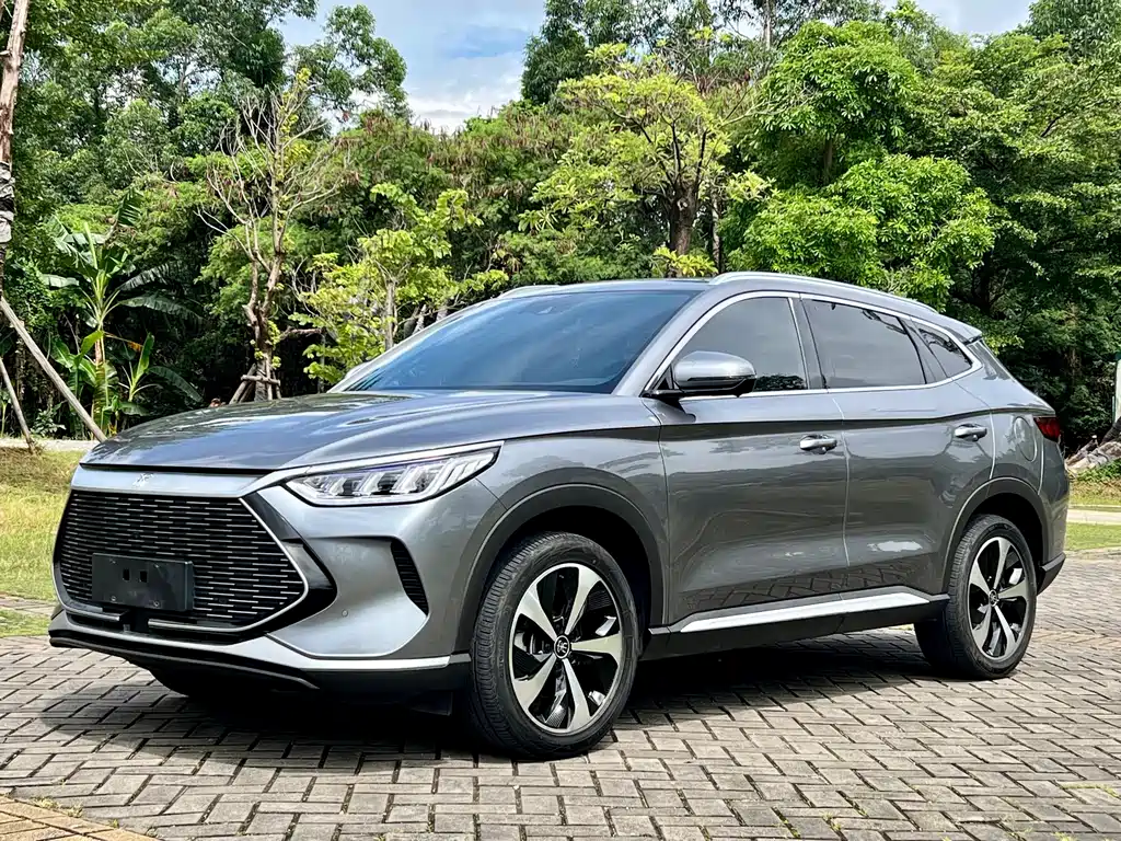 BYD PLUS New Energy 2022