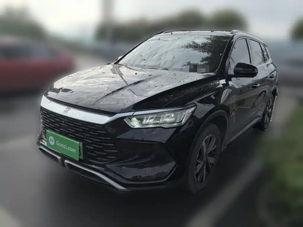 BYD Pro New Energy 2024