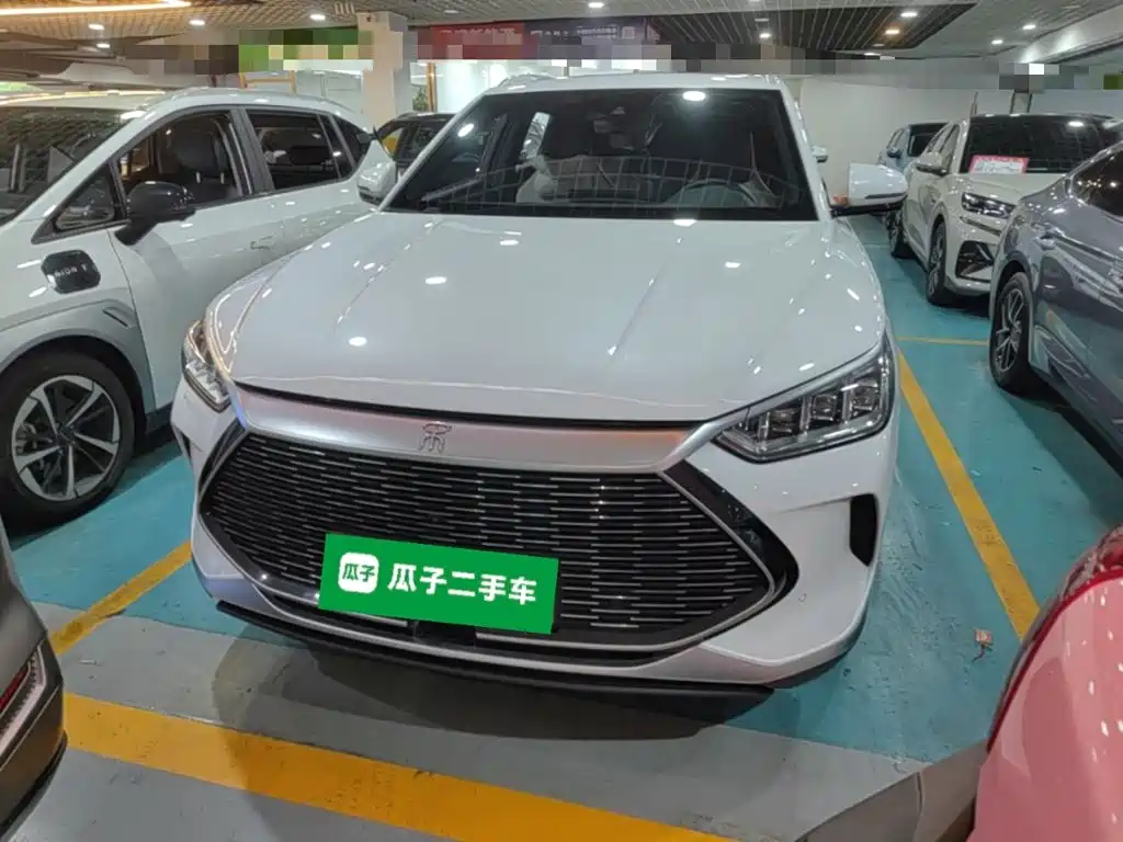 BYD PLUS New Energy 2022