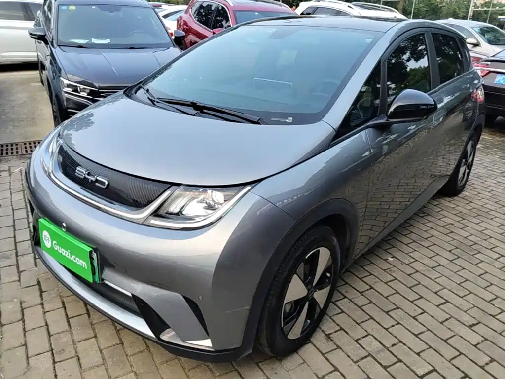 BYD Dolphin 2024
