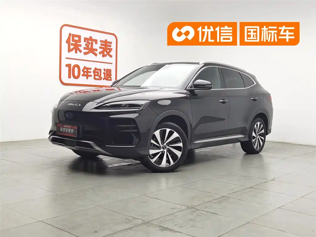 BYD PLUS New Energy 2024