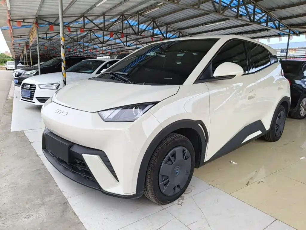 BYD Seagull 2025