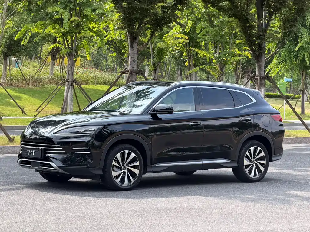 BYD PLUS New Energy 2025