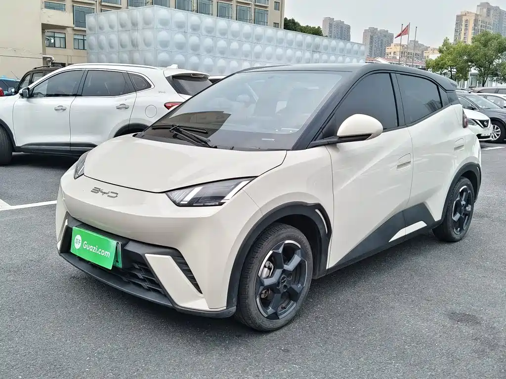 BYD Seagull 2024