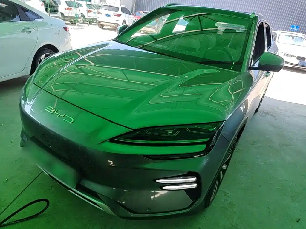 BYD PLUS New Energy 2024