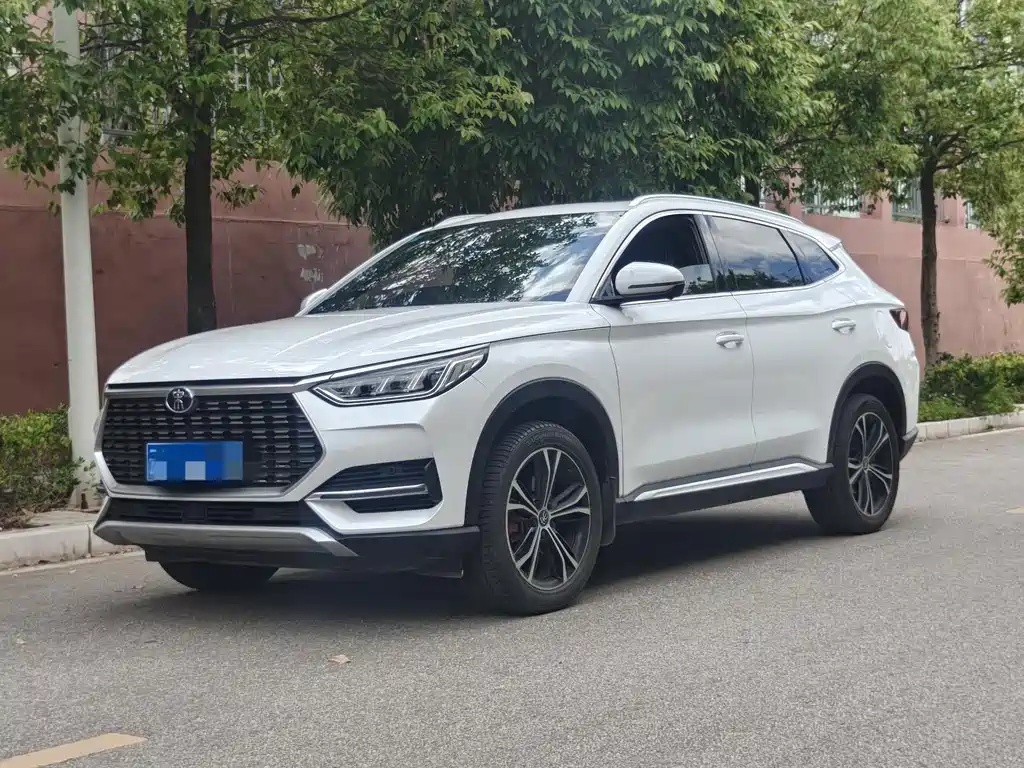 BYD PLUS 2020
