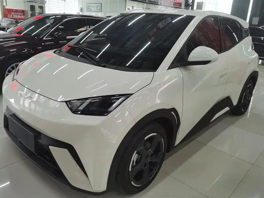 BYD Seagull 2024
