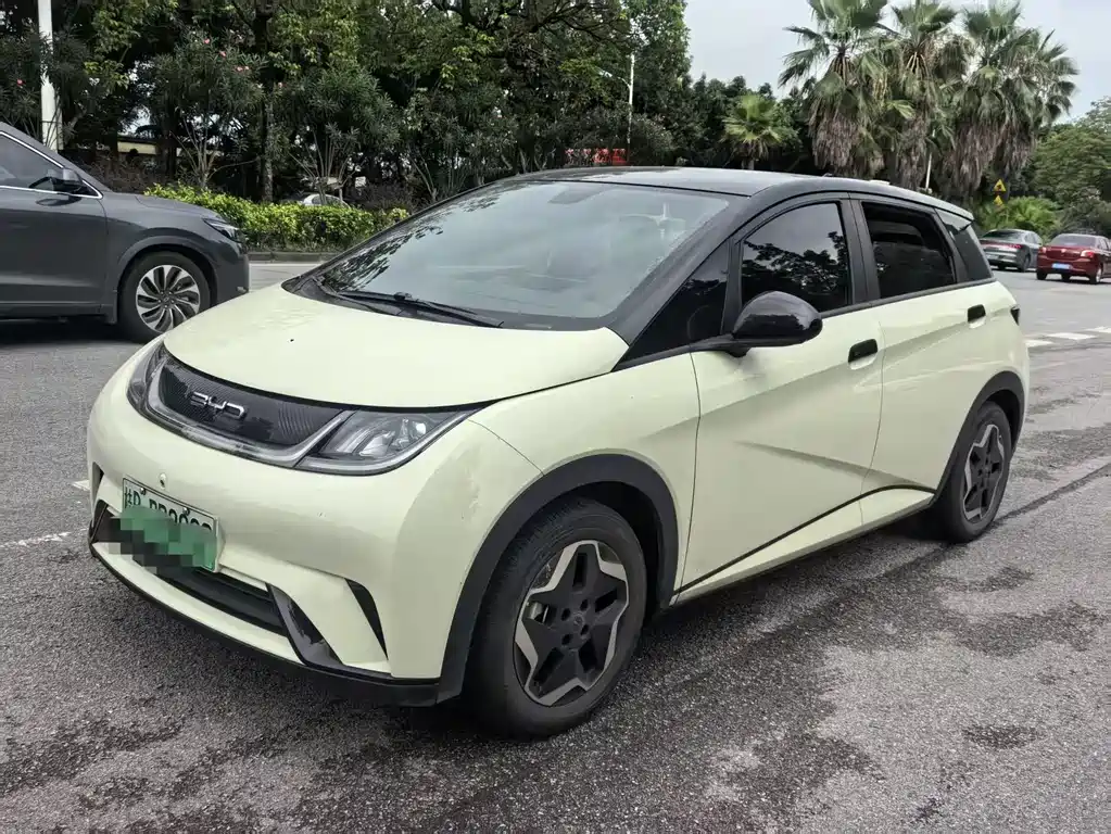 BYD Dolphin 2022