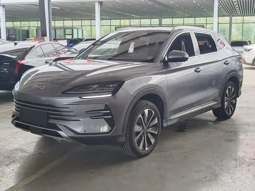 BYD PLUS New Energy 2024