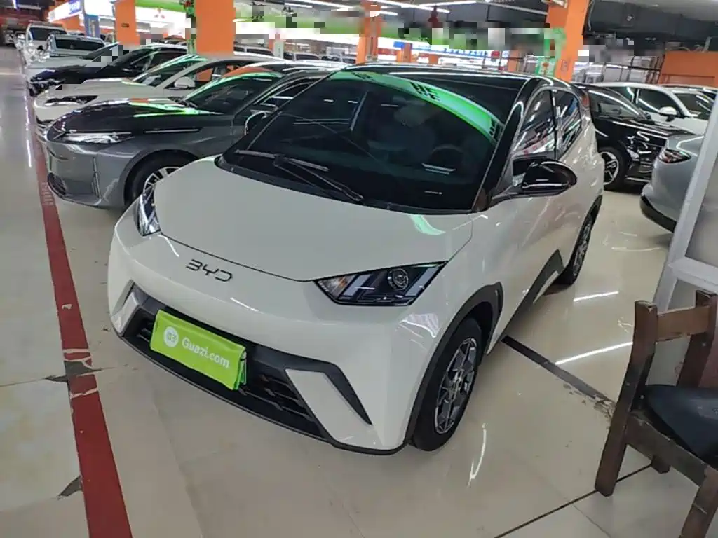 BYD Seagull 2025