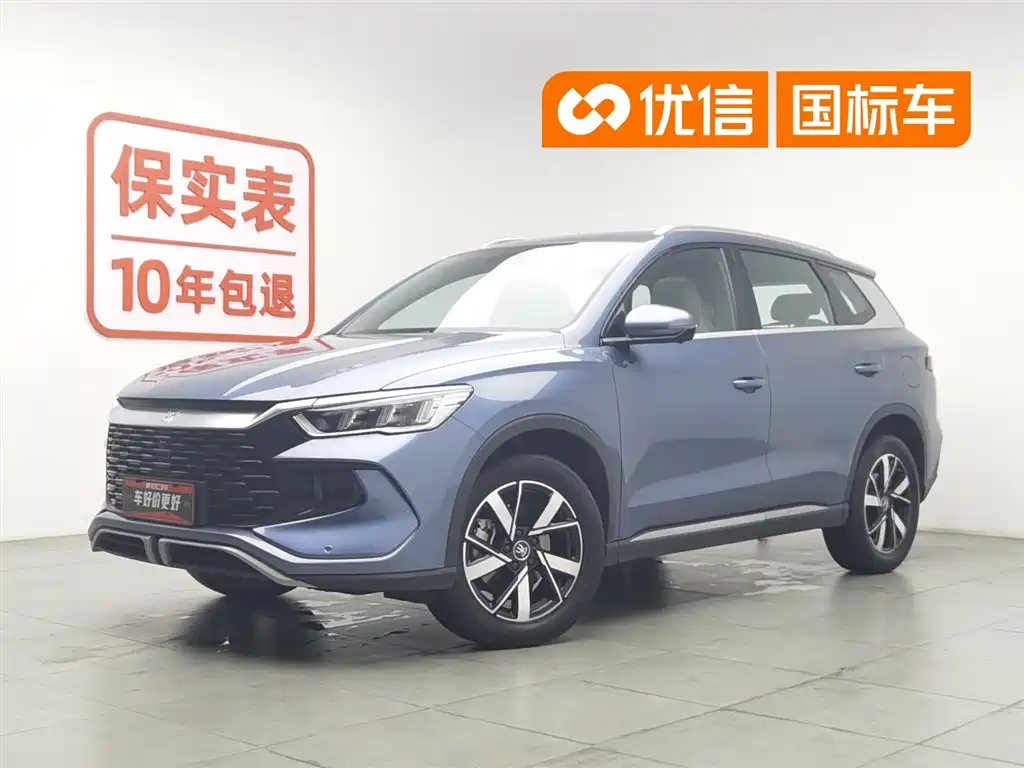 BYD Pro New Energy 2024