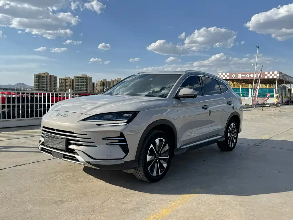 BYD PLUS New Energy 2024