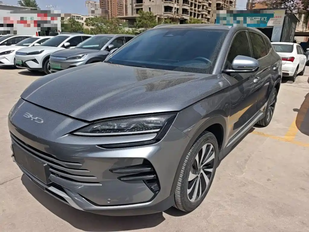 BYD PLUS New Energy 2024