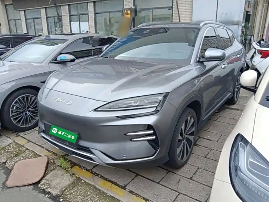 BYD PLUS New Energy 2024