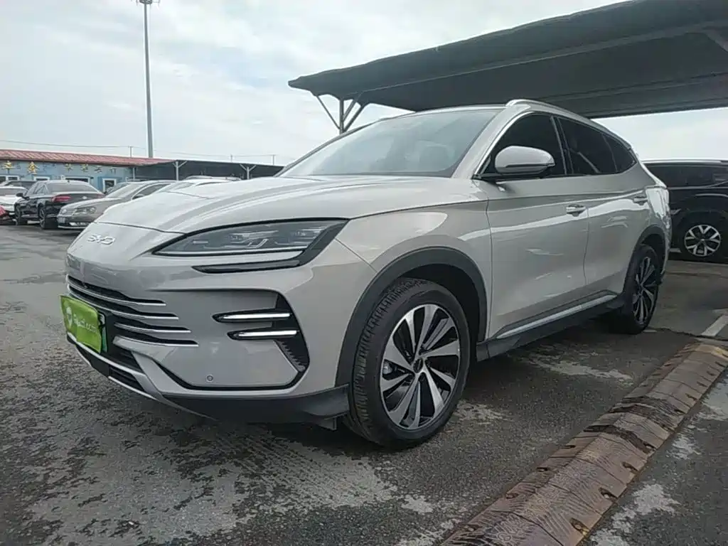 BYD PLUS New Energy 2024