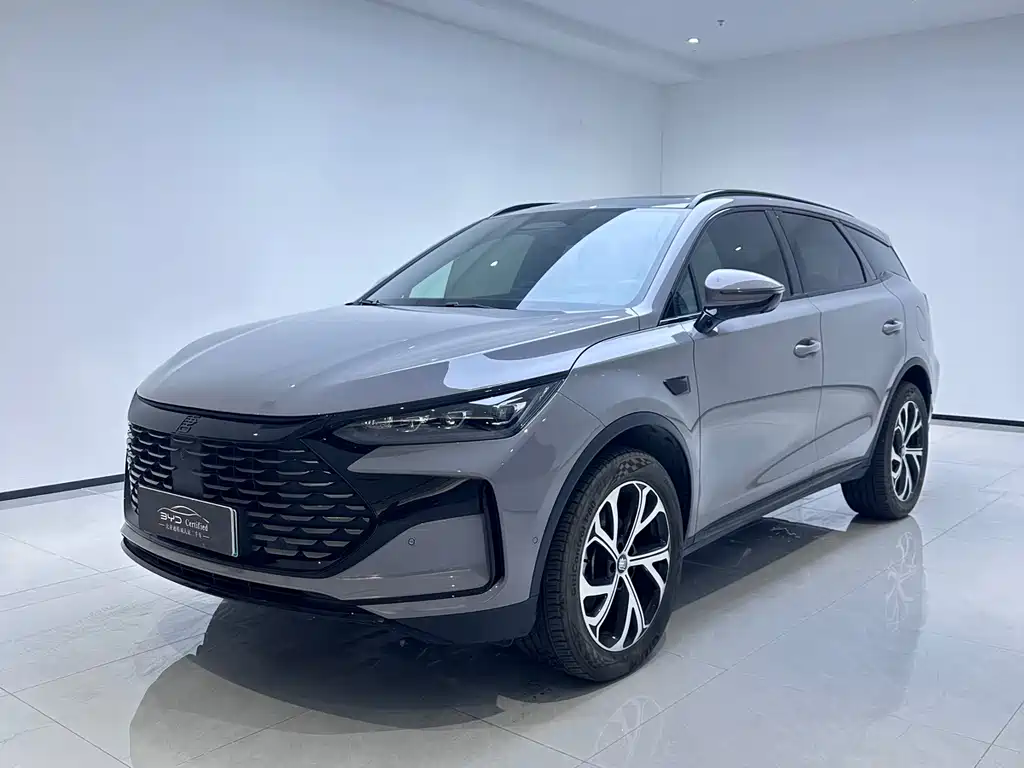 BYD Tang New Energy 2025